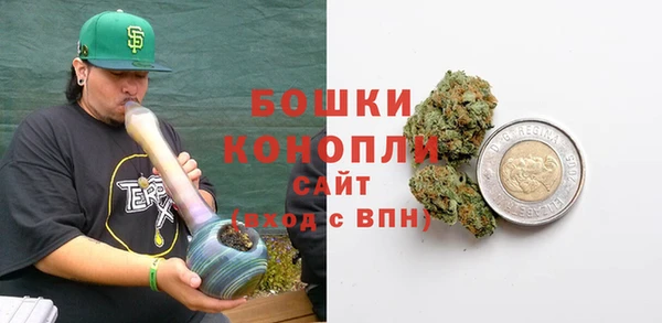 шишки Алексеевка